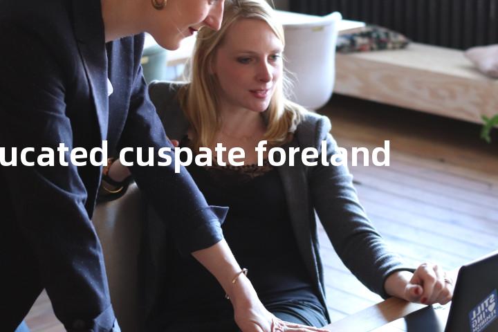 trucated cuspate foreland单词图解，单词释义场景配图