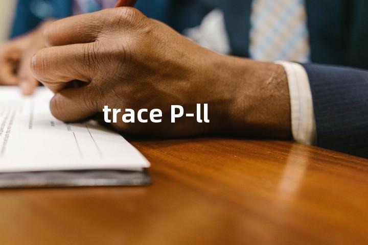 trace P-ll单词图解，单词释义场景配图