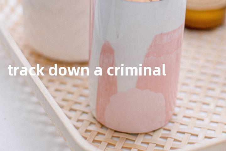 track down a criminal单词图解，单词释义场景配图