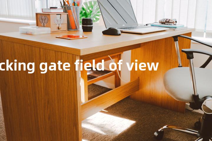 tracking gate field of view单词图解，单词释义场景配图