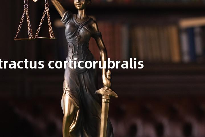 tractus corticorubralis单词图解，单词释义场景配图