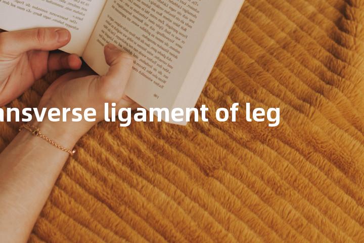 transverse ligament of leg单词图解，单词释义场景配图