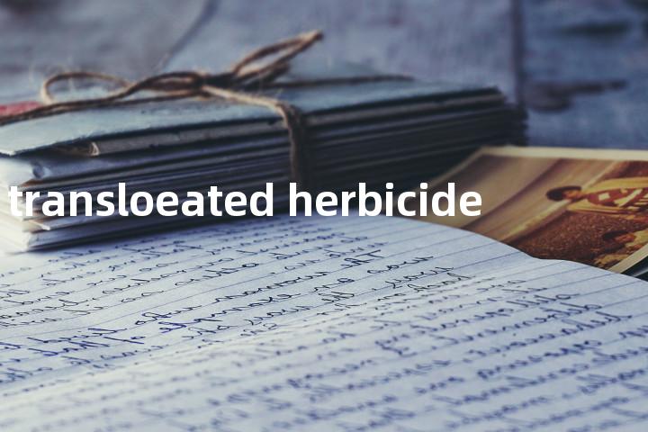 transloeated herbicide单词图解，单词释义场景配图