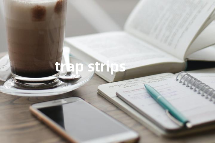 trap strips单词图解，单词释义场景配图