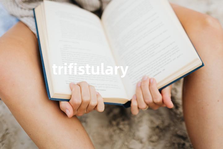 trifistulary单词图解，单词释义场景配图