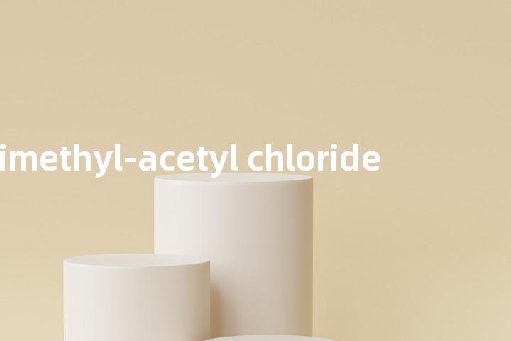 trimethyl-acetyl chloride单词图解，单词释义场景配图