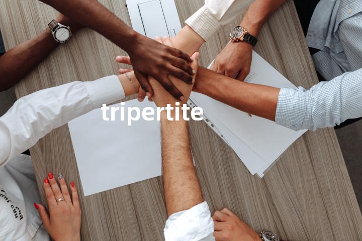 tripertite单词图解，单词释义场景配图