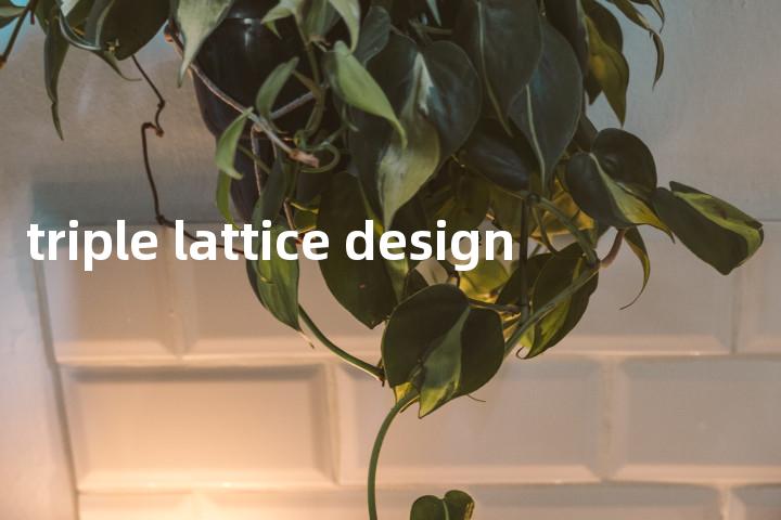 triple lattice design单词图解，单词释义场景配图