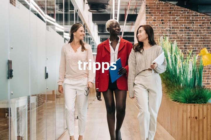 tripps单词图解，单词释义场景配图