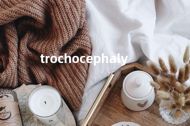 trochocephaly单词图解，单词释义场景配图