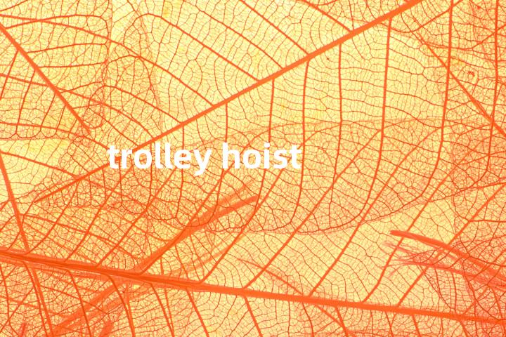 trolley hoist单词图解，单词释义场景配图