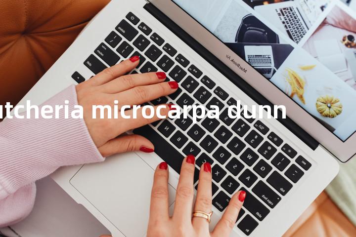tutcheria microcarpa dunn单词图解，单词释义场景配图