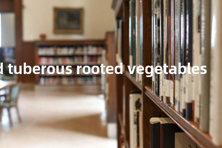tuber and tuberous rooted vegetables单词图解，单词释义场景配图