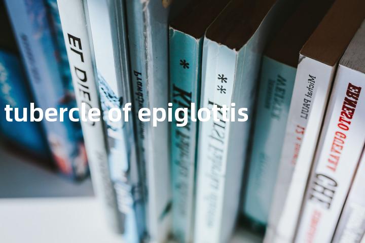 tubercle of epiglottis单词图解，单词释义场景配图