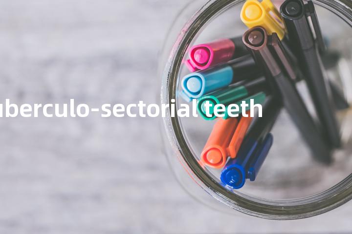 tuberculo-sectorial teeth单词图解，单词释义场景配图