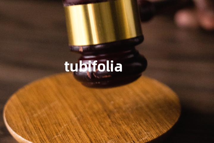 tubifolia单词图解，单词释义场景配图