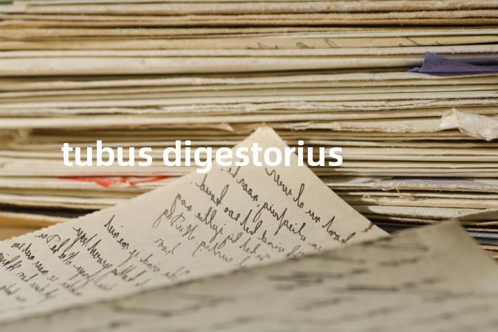 tubus digestorius单词图解，单词释义场景配图