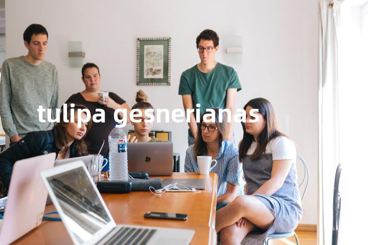 tulipa gesnerianas单词图解，单词释义场景配图