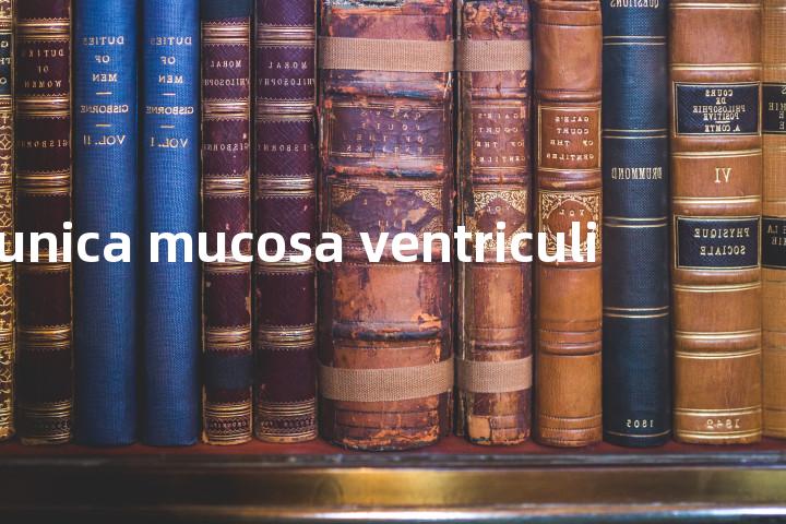 tunica mucosa ventriculi单词图解，单词释义场景配图