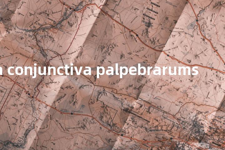 tunica conjunctiva palpebrarums单词图解，单词释义场景配图