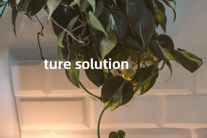 ture solution单词图解，单词释义场景配图