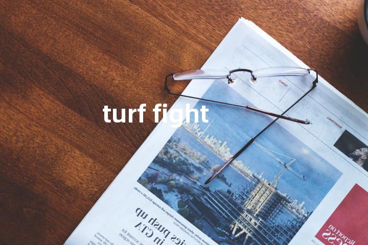 turf fight单词图解，单词释义场景配图