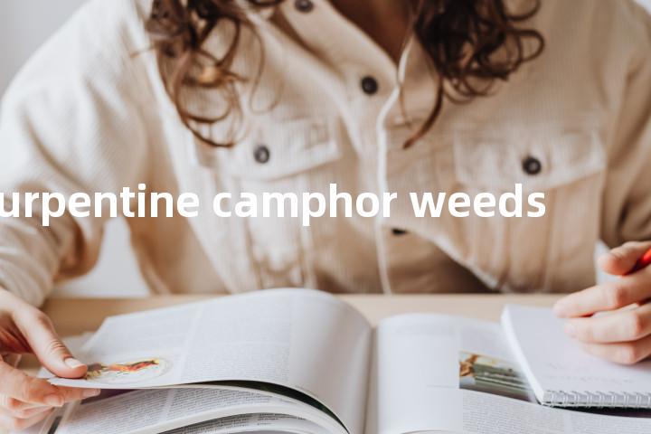 turpentine camphor weeds单词图解，单词释义场景配图