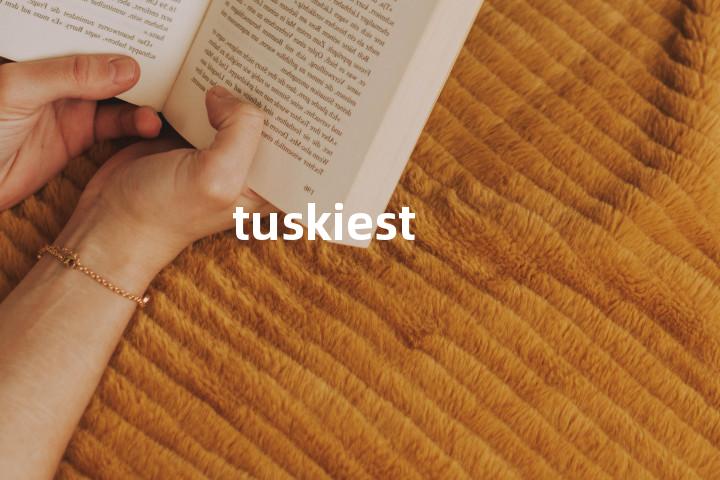 tuskiest单词图解，单词释义场景配图