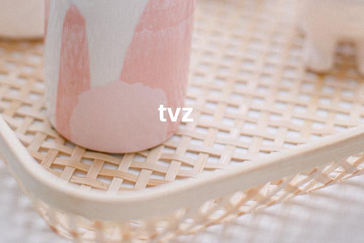 tvz单词图解，单词释义场景配图