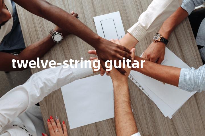 twelve-string guitar单词图解，单词释义场景配图