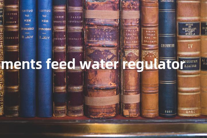 two elements feed water regulator单词图解，单词释义场景配图