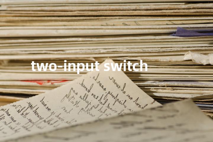 two-input switch单词图解，单词释义场景配图