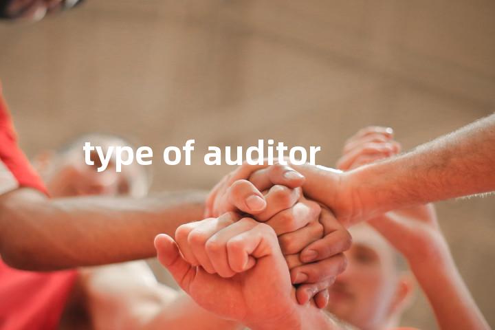 type of auditor单词图解，单词释义场景配图