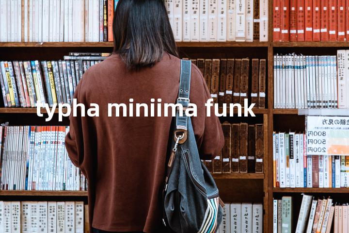 typha miniima funk单词图解，单词释义场景配图