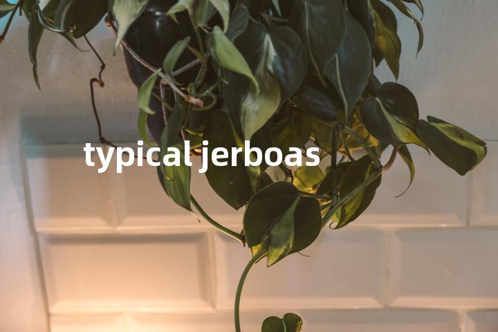 typical jerboas单词图解，单词释义场景配图