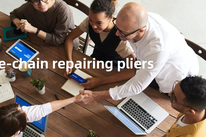 tyre-chain repairing pliers单词图解，单词释义场景配图