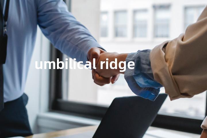 umbilical ridge单词图解，单词释义场景配图