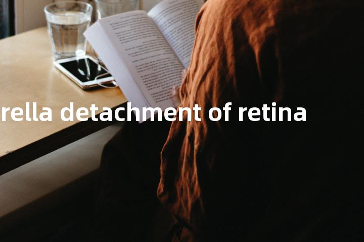 umbrella detachment of retina单词图解，单词释义场景配图