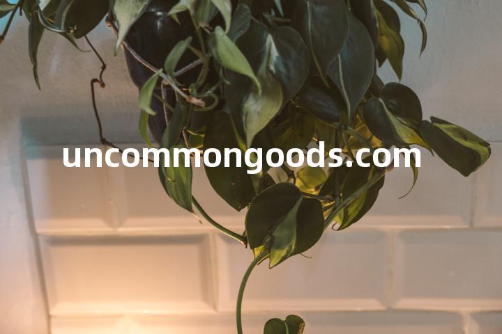 uncommongoods.com单词图解，单词释义场景配图