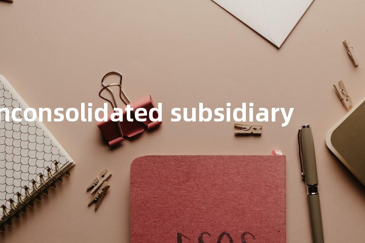 unconsolidated subsidiary单词图解，单词释义场景配图