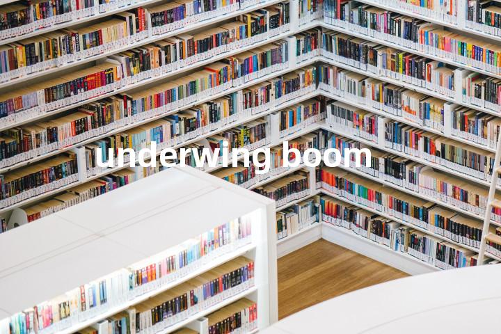 underwing boom单词图解，单词释义场景配图