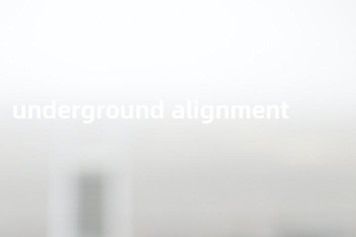 underground alignment单词图解，单词释义场景配图