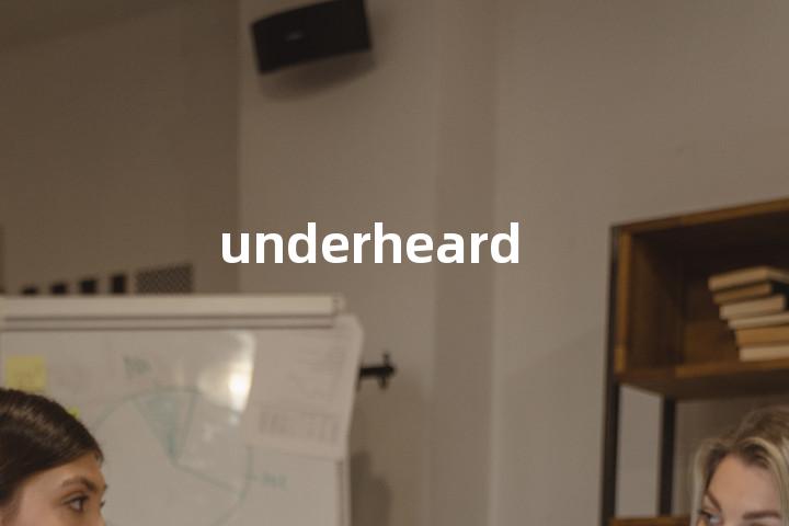 underheard单词图解，单词释义场景配图