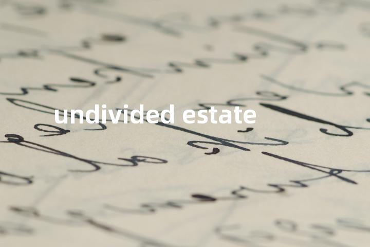 undivided estate单词图解，单词释义场景配图