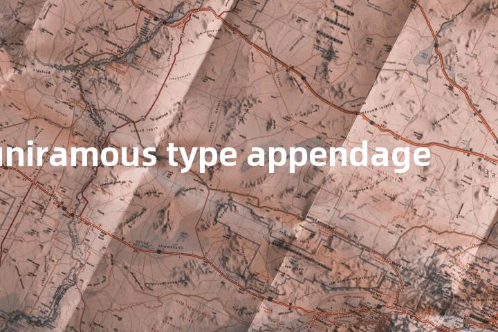 uniramous type appendage单词图解，单词释义场景配图