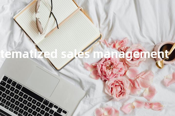 unsystematized sales management单词图解，单词释义场景配图