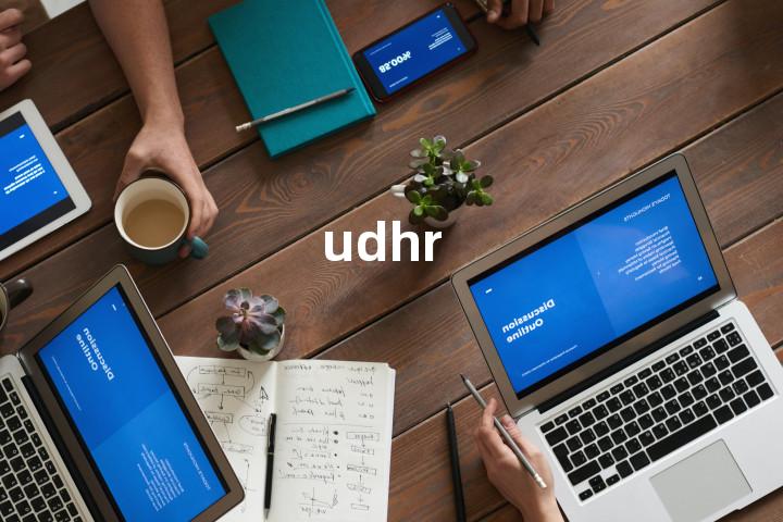 udhr单词图解，单词释义场景配图