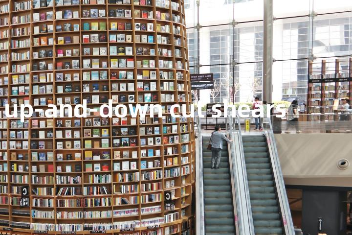 up-and-down cut shears单词图解，单词释义场景配图