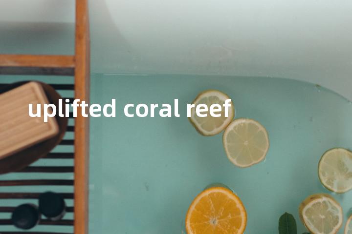 uplifted coral reef单词图解，单词释义场景配图