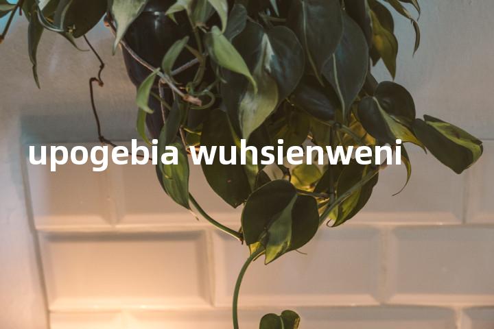 upogebia wuhsienweni单词图解，单词释义场景配图